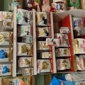 Royal Canin